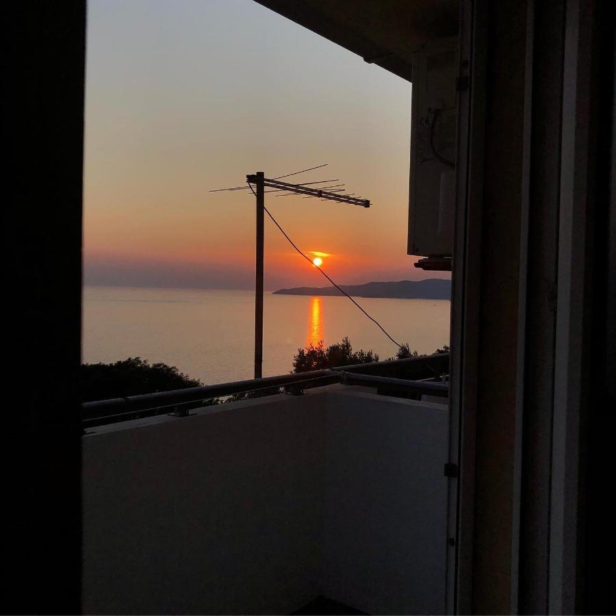 Kuca Radovic Guest house *