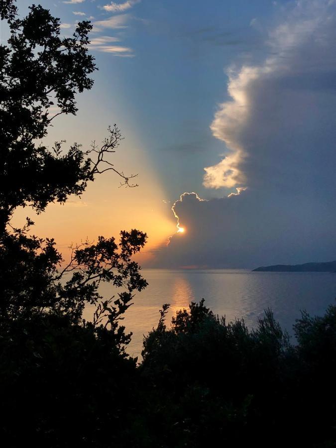 Kuca Radovic Budva