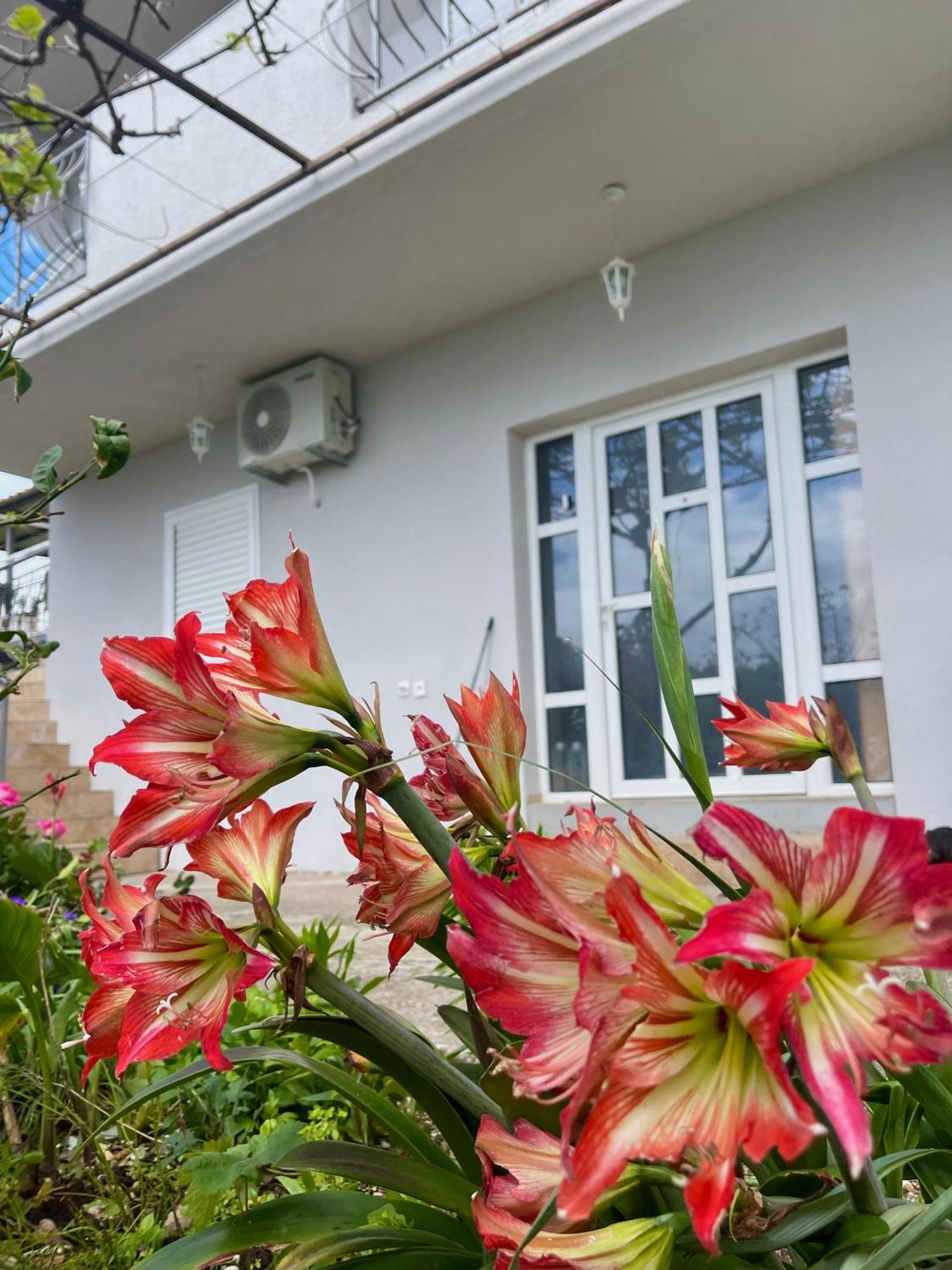 Guest house Kuca Radovic Budva